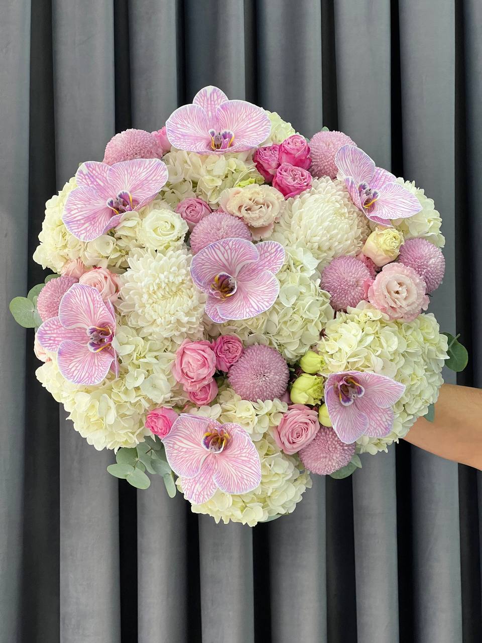 Soir Rose