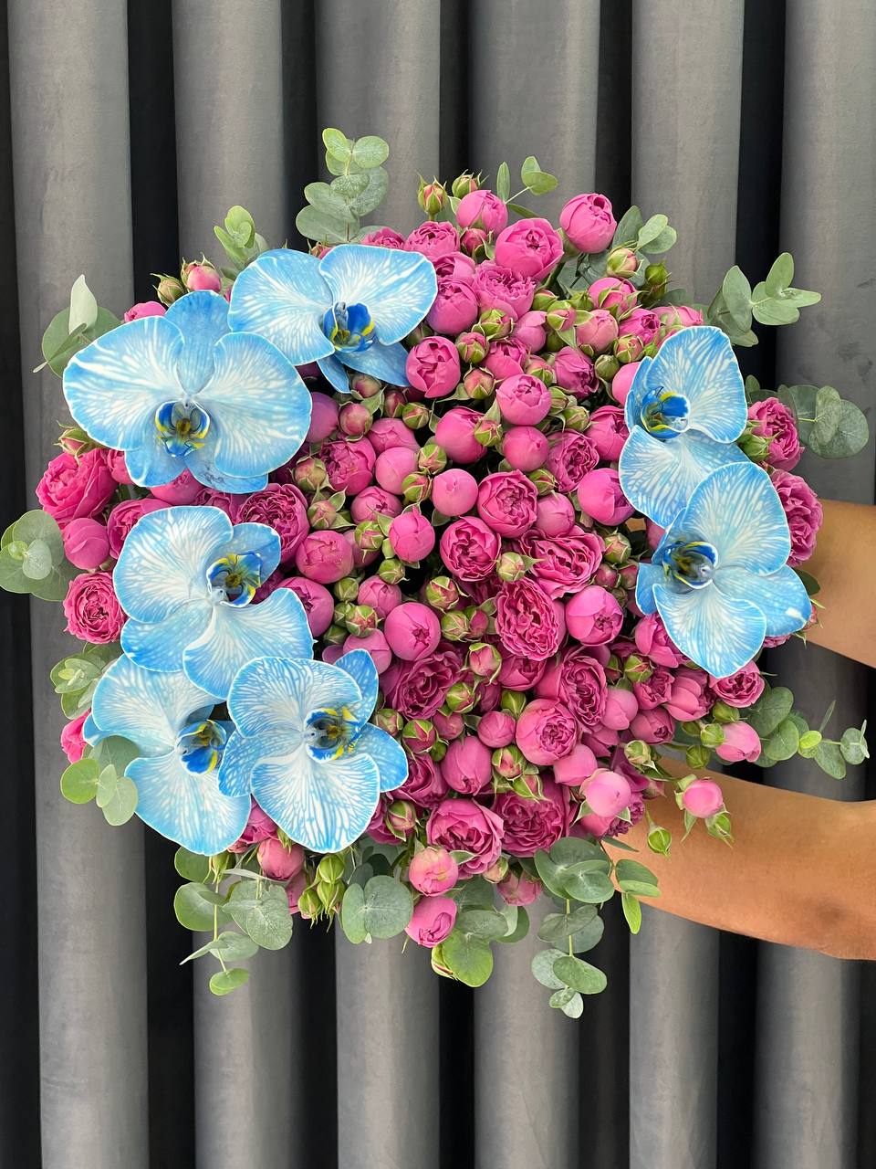 Petal Air