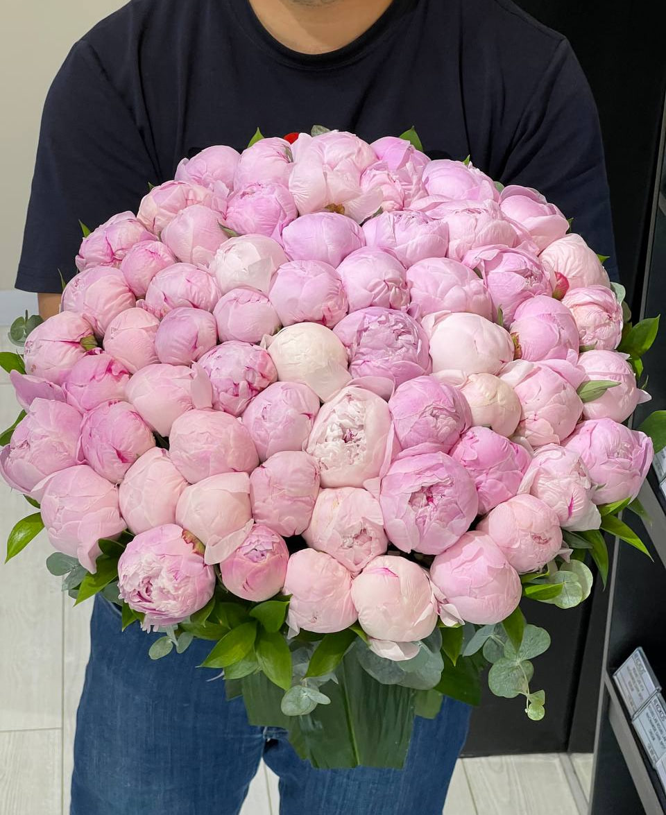 Peonies 59